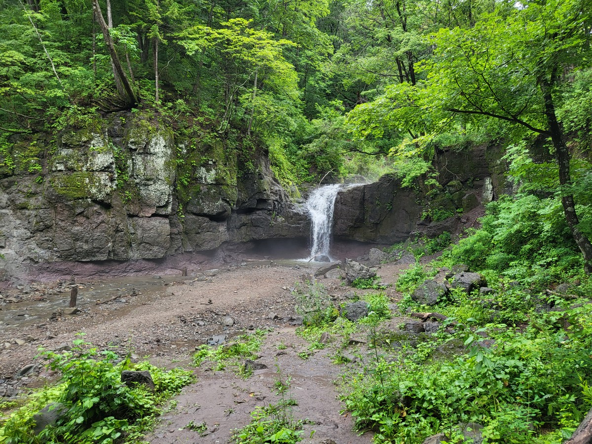 Маяк Бюссе, дикие кошки и природа Дальнего Востока (6/14)