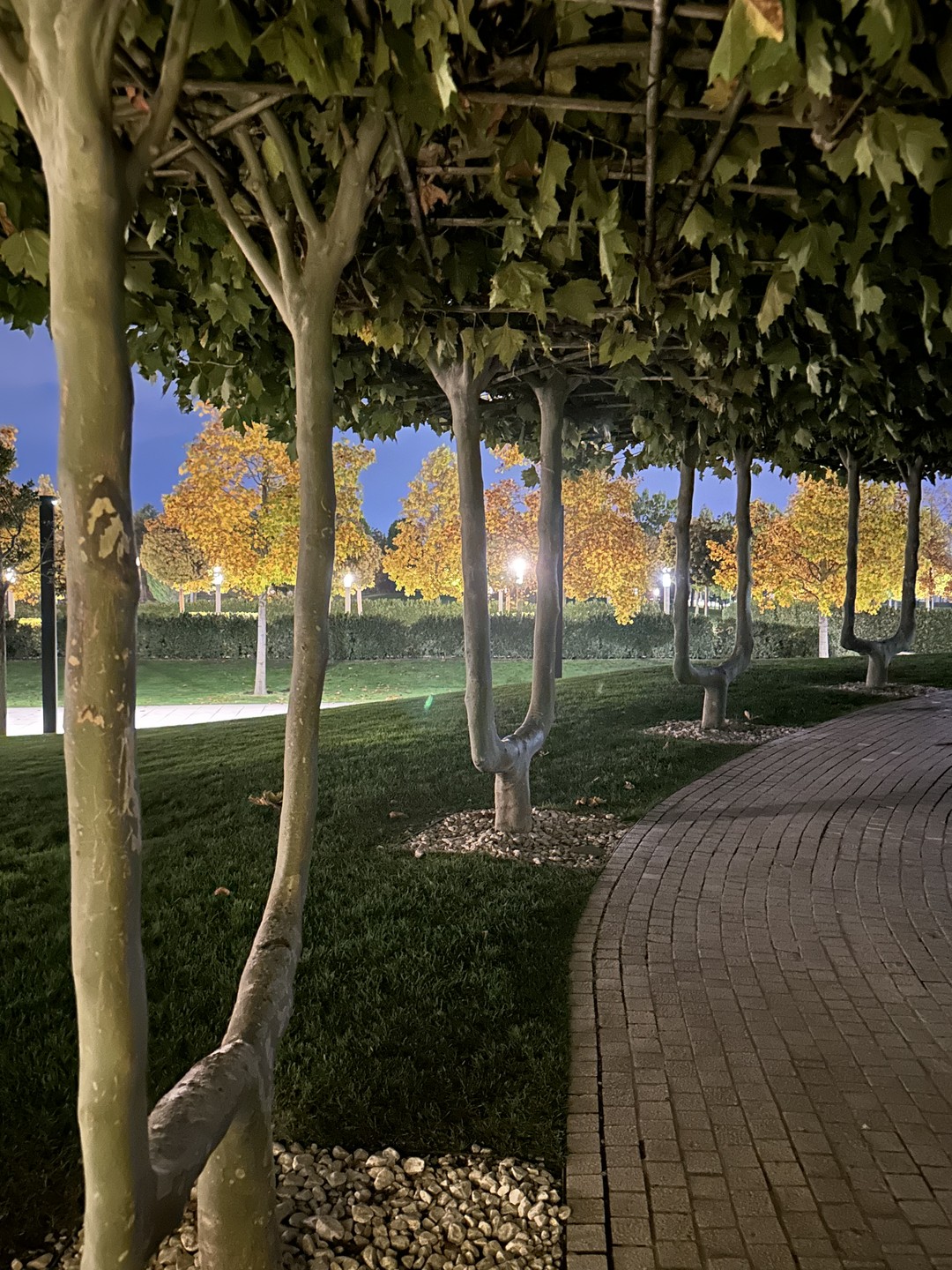 Замена экскурсовода не сказалась на прекрасном впечатлении об экскурсии, Лариса спасибо! Впервые посетив парк, теперь прекрасно