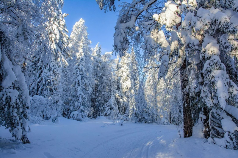 На снегоходах - к маяку Тонин