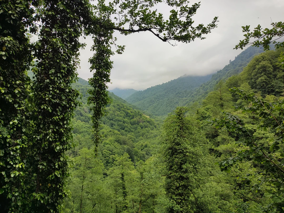 Благодаря Федору мы с дочерью провели замечательный день в Грузии. Каждое место, которое мы посетили, особенное