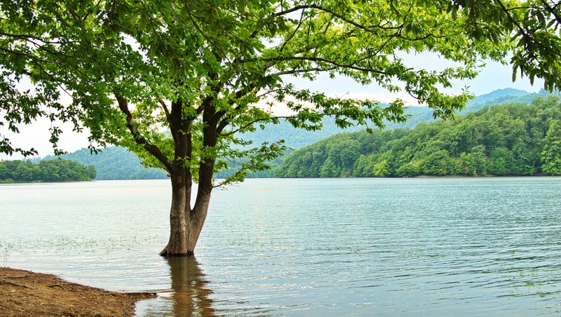Фото отзыва 3: экскурсия "Влюбиться в Ленкорань за 1 день: в небольшой группе из Баку"