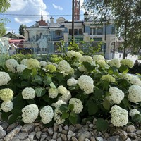 Фото путешественника — 1