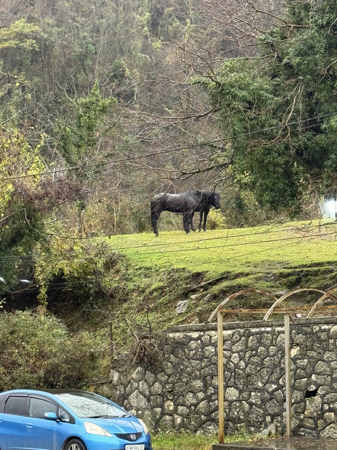 Ездили на экскурсию с Романом в Абхазию. Нам очень понравилось. Роман был очень обходительный, общительный. С