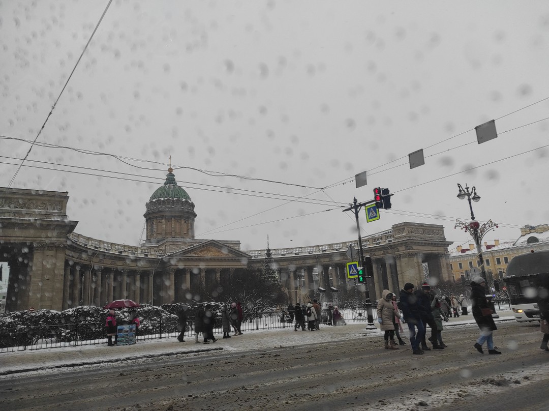 Главное о Санкт-Петербурге: обзорная экскурсия в мини-группе (Оксана)
