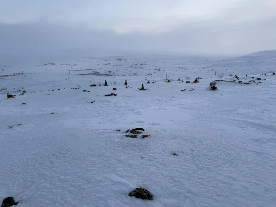 Отлично все организовано! Гид Александр все классно рассказал и показал! Советую!