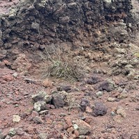Фото отзыва 2: экскурсия "Восхождение на Везувий"
