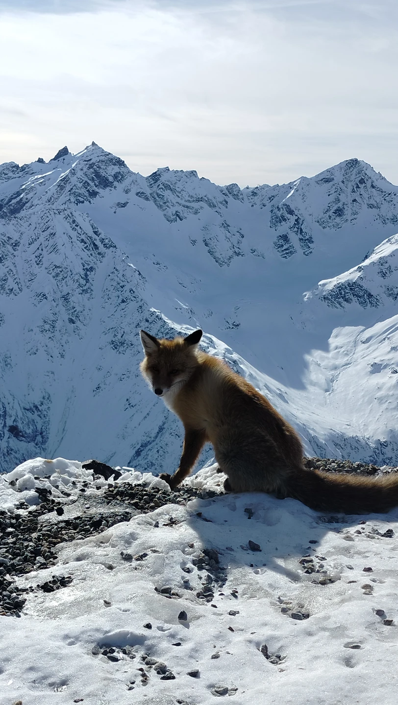 Спасибо большое Борису и всем организаторам за такой прекрасный тур! Заранее предложили выбрать лучший по погодным