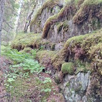 Фото отзыва 3: экскурсия "Поездка в горный парк Рускеала"