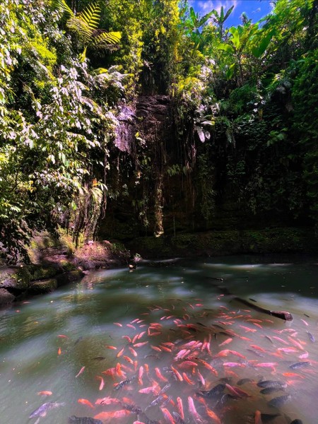 самые приятные и теплые впечатления от Бали на этой экскурсии. Гид Viru прекрасно говорил по русски
