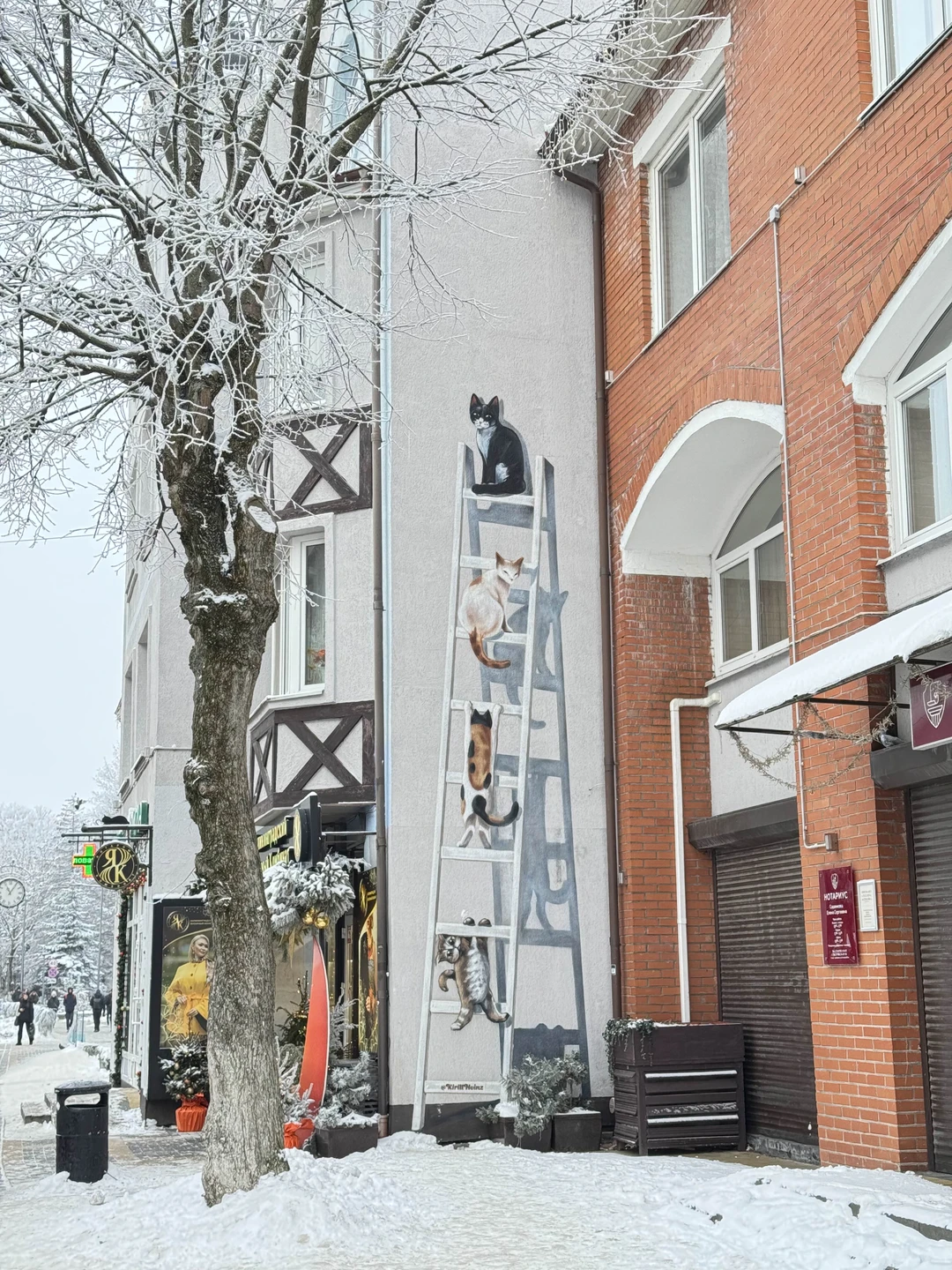 Собрались кошатники и пошли гулять по Зеленоградску. А вел нас Павел-добрый друг всех кошек земли. Он