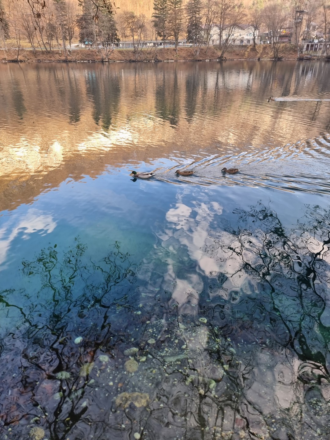 Хочу выразить огромную благодарность Александру за прекрасно организованную поездку!