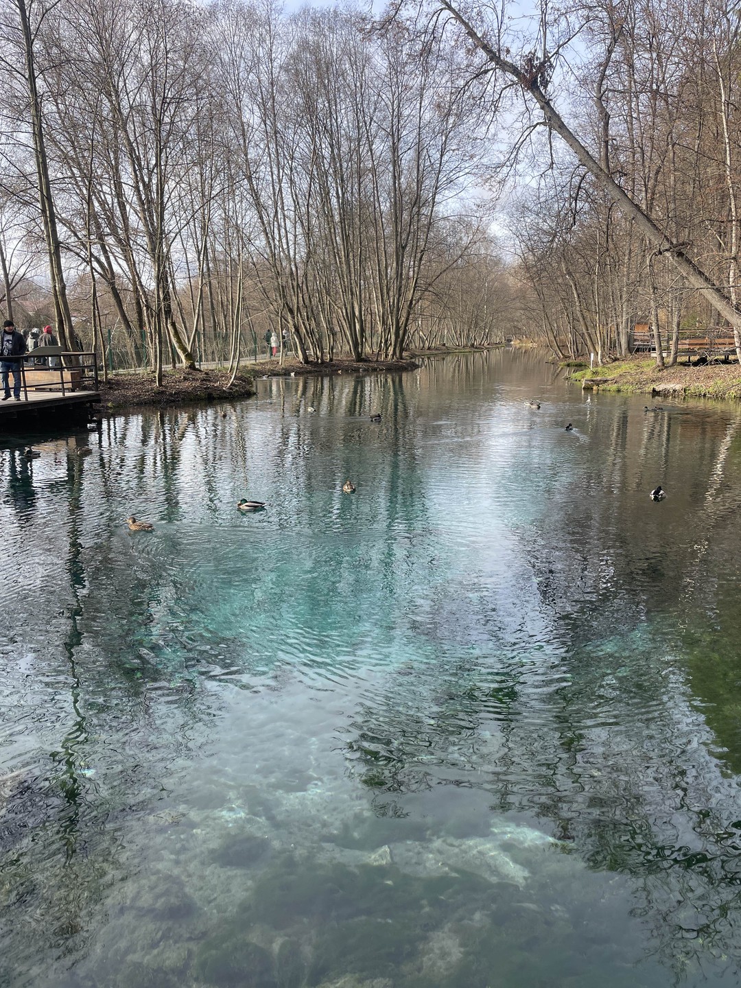 Спасибо Константину за комфортную поездку и замечательную прогулку! Всё было прекрасно организовано — информативно, интересно и