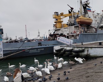 На весь день к Балтийскому морю