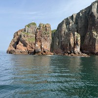 Фото отзыва 2: экскурсия "Морское приключение во Владивостоке: мыс Тобизина, котики и морепродукты!"