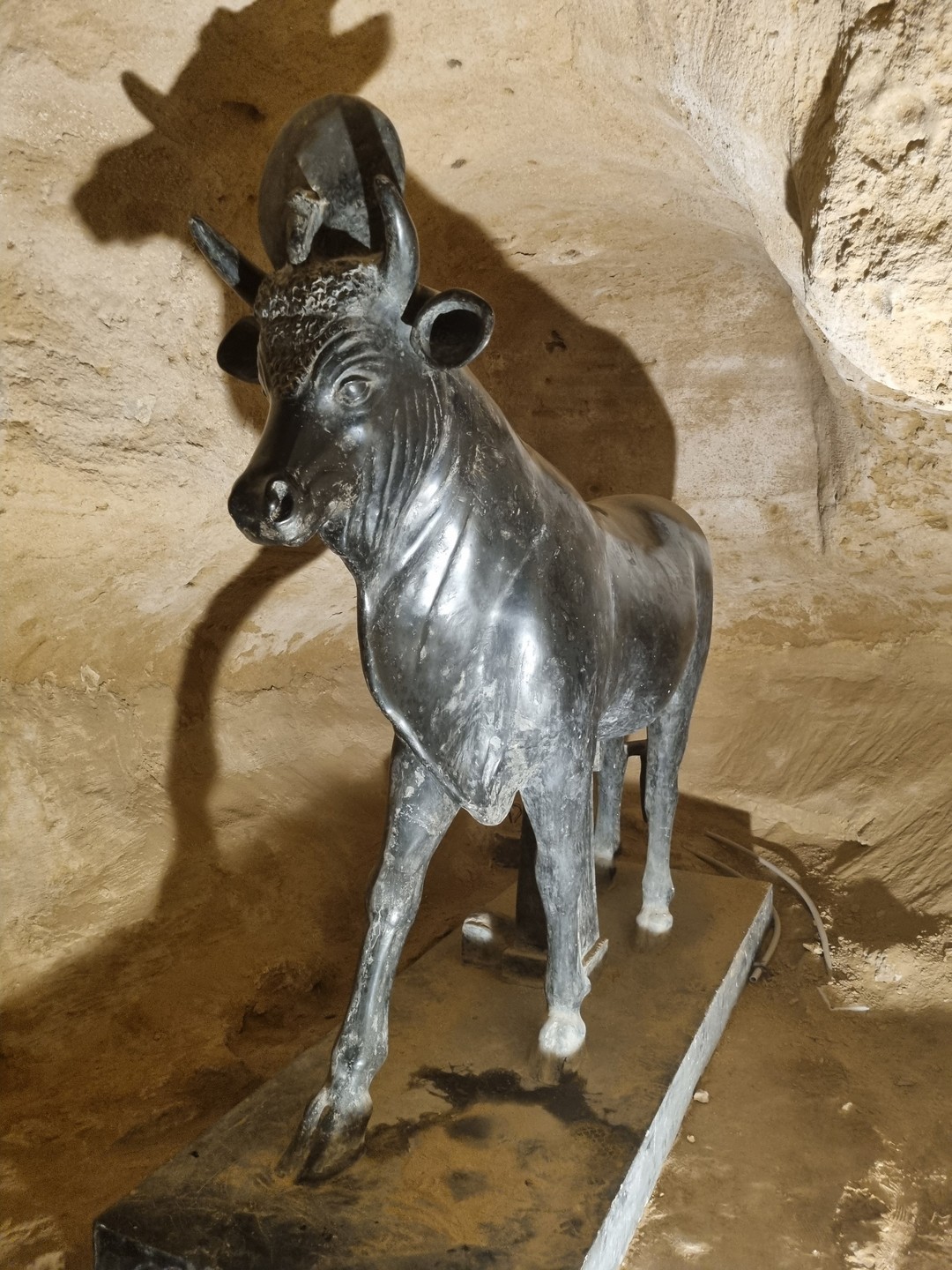 Были на экскурсии в Александрии с Зиядом, очень понравился город и его достопримечательности. В программу экскурсии