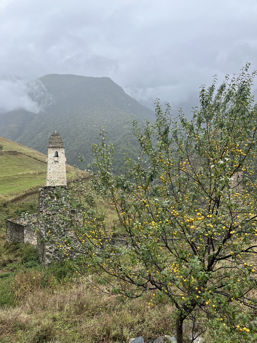 Не смотря на то, что нам не повезло с погодой (весь день было пасмурно, местами дождь)