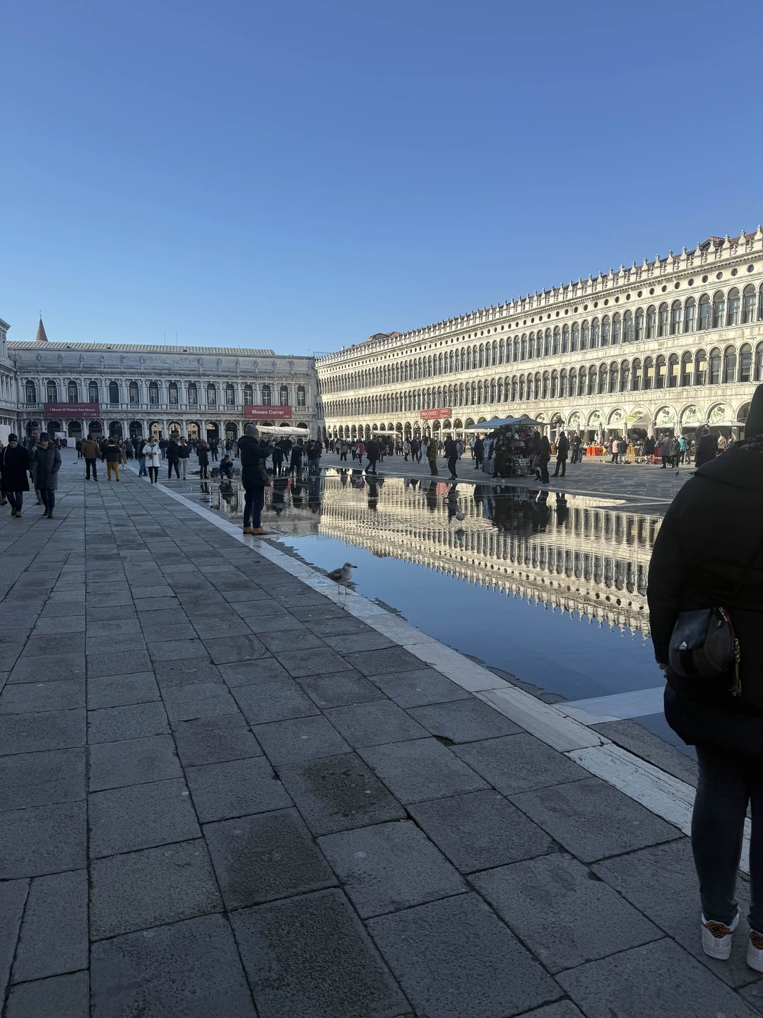 Идеальный выбор для туристов! Рекомендую! Интересно, красиво, вкусно и все под ваши интересы!