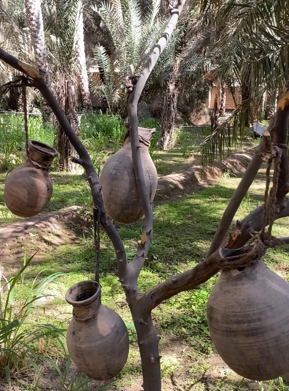 Пара часов в пути и мы в самом зеленом и живописном городе Аль- Айн Объединенных Арабских