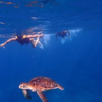 Фото отзыва 2: экскурсия "Снорклинг с гигантскими скатами — на Нуса Пенида"