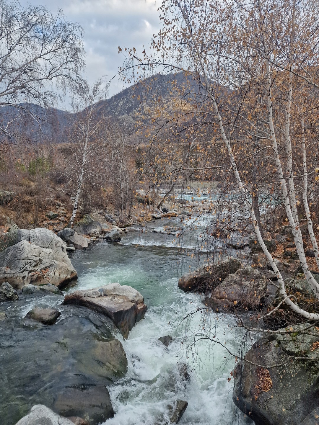 Осенний Алтай- вспоминаю, как будто побывали на другой планете. Для меня Чуйский тракт - это Катунь