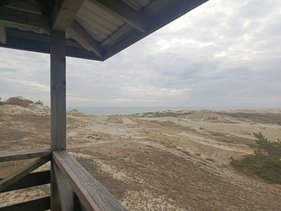 Комфортная поездка на Куршскую косу (Елизавета)