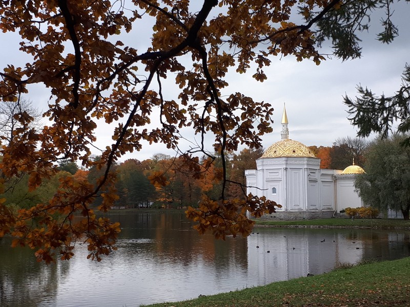 Под сенью Царскосельских парков