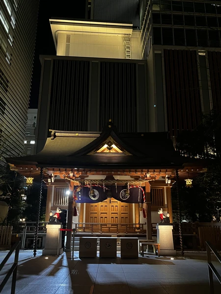 Отличная обзорная спланированная экскурсия под ожидания туриста. Для тех, кто впервые в Токио очень рекомендую, можно