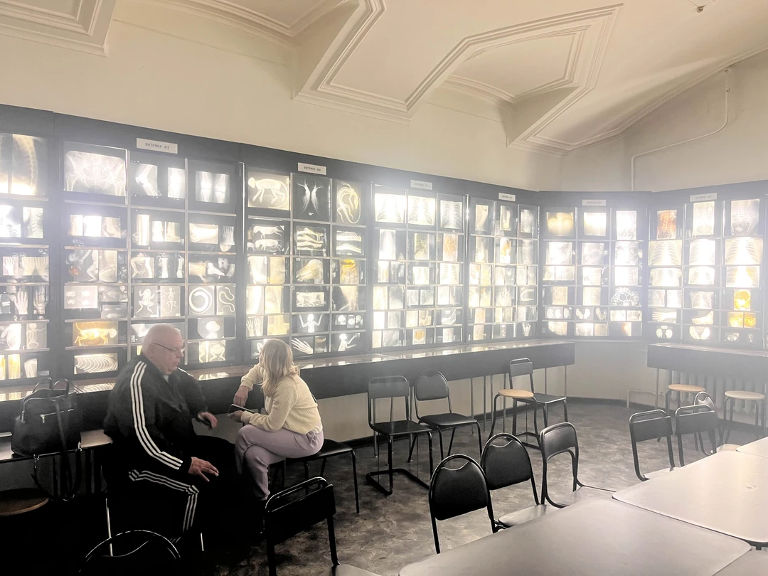 Анатомический Эрмитаж: обзорная экскурсия-лекция (Дмитрий)