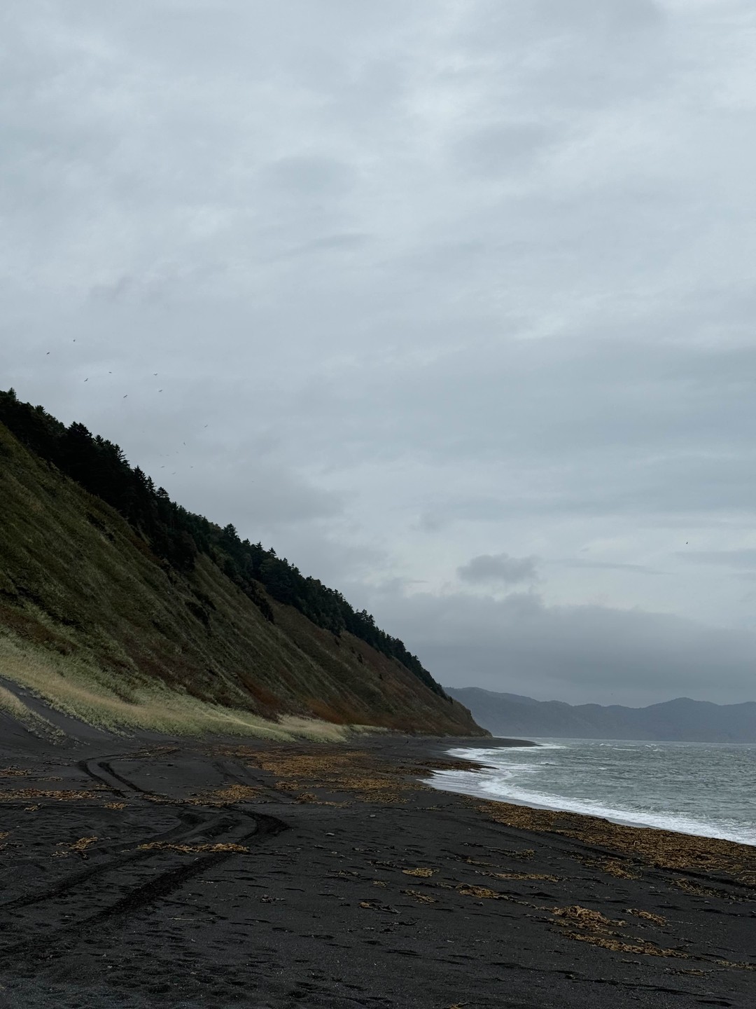 Нам безумно понравился тур. Водители-гиды Николай и Андрей просто мастера, дороги любой сложности им не помеха!