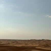 Фото отзыва 1: экскурсия "Сафари в Дубае: магия заката в пустыне без кемпов и шоу-программ"