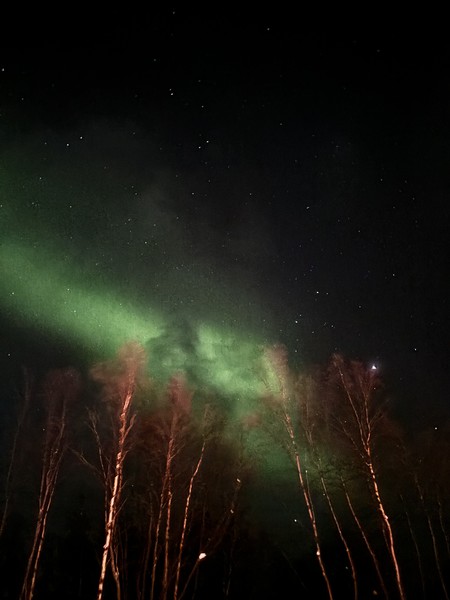 Северное сияние: увидеть главное чудо Заполярья (Бородулина)