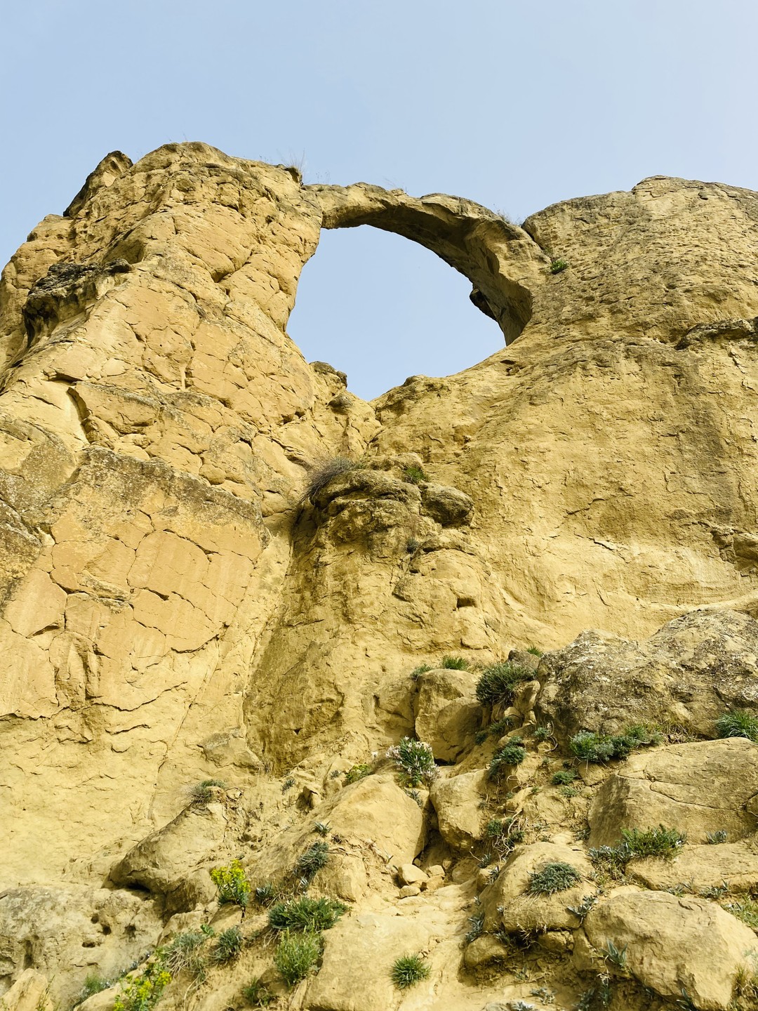 Большое спасибо за прекрасно проведённый день! Отдельное спасибо Сергею (экскурсоводу)! Обязательно вернусь снова)