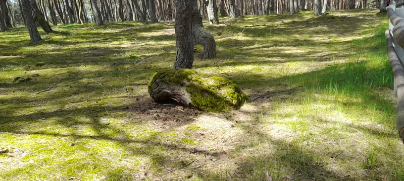 Красота….. хотя осталось легкое разочарование… очень мало время на косе… хотелось бы минут на 20- 30