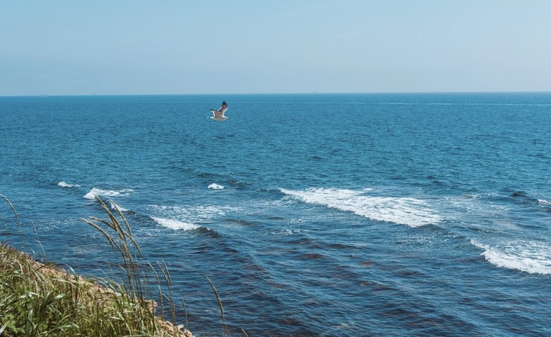 Виды 7 мест для фото на острове Русский