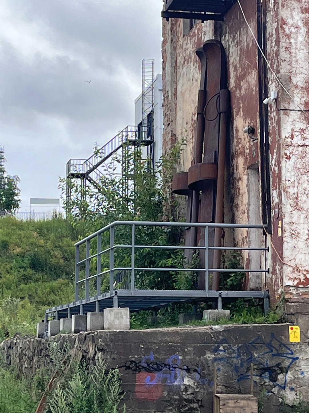 Петрозаводск. Прогулка по столице Карелии (Ирина)