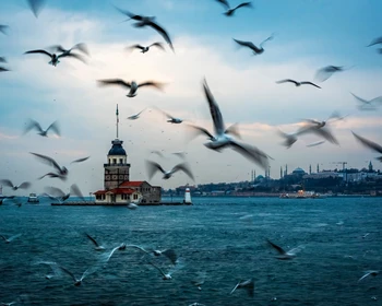 Топкапы и другие достопримечательности, морская прогулка по Босфору