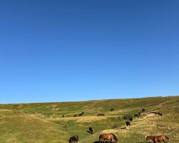 Пробег через Главный Кавказский хребет