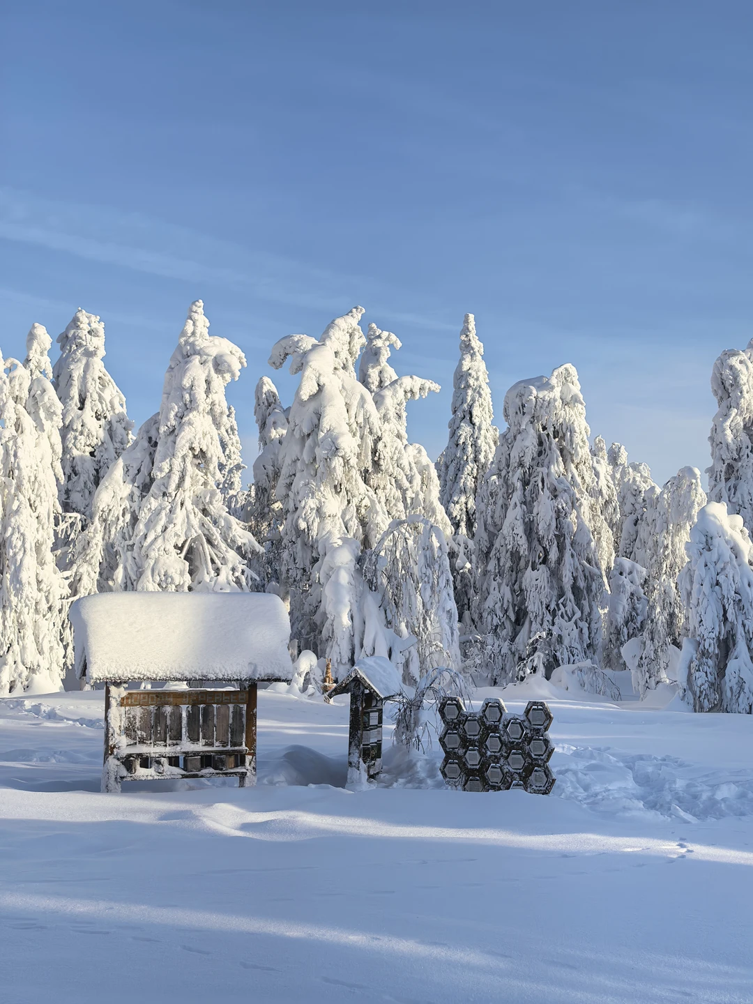 Как порой приятно побывать туристом в своём регионе! Экскурсия прошла просто на УРА. Хотя были опасения