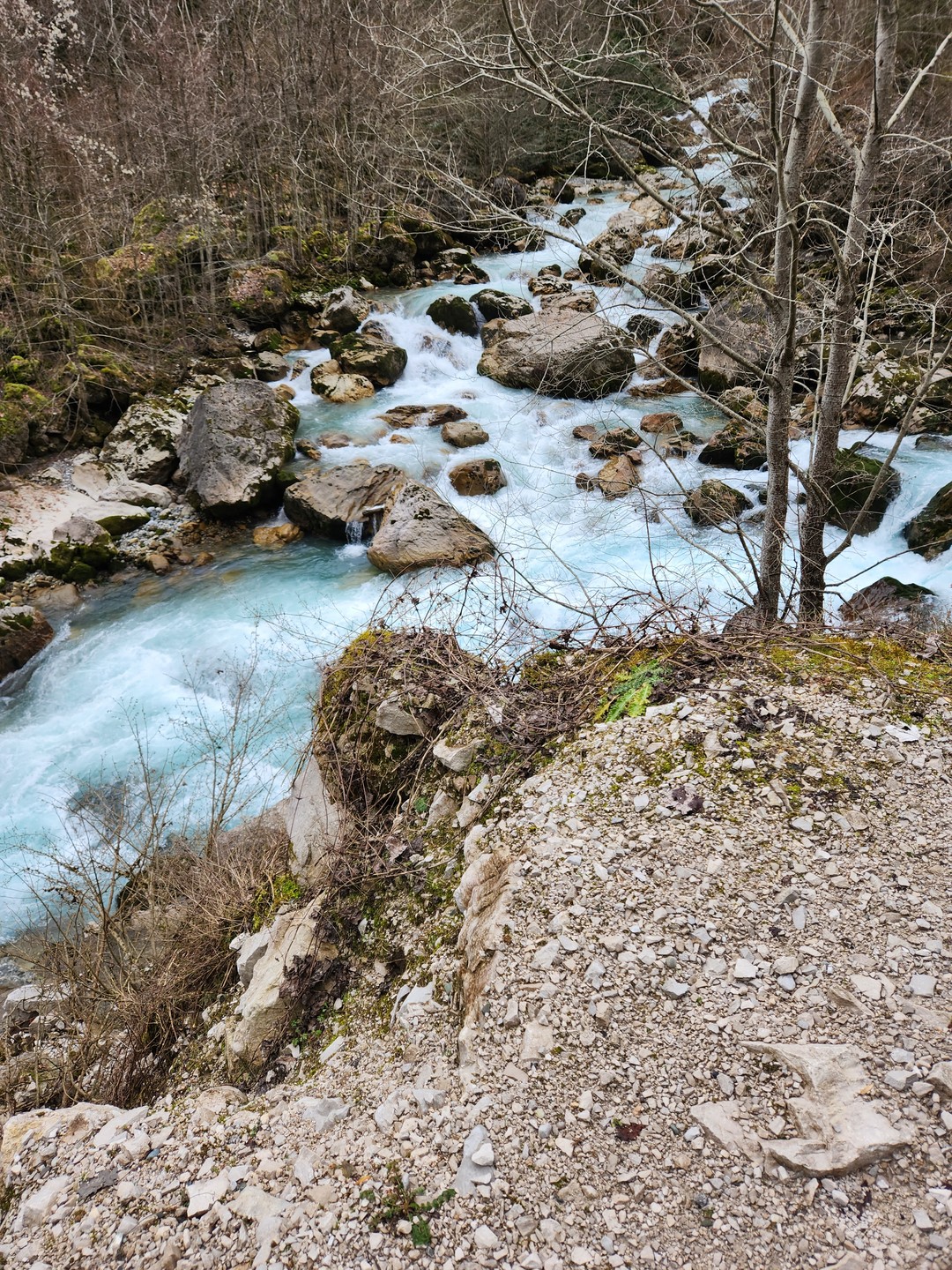 Путешествие на озеро Рица из Гагры (Елена)