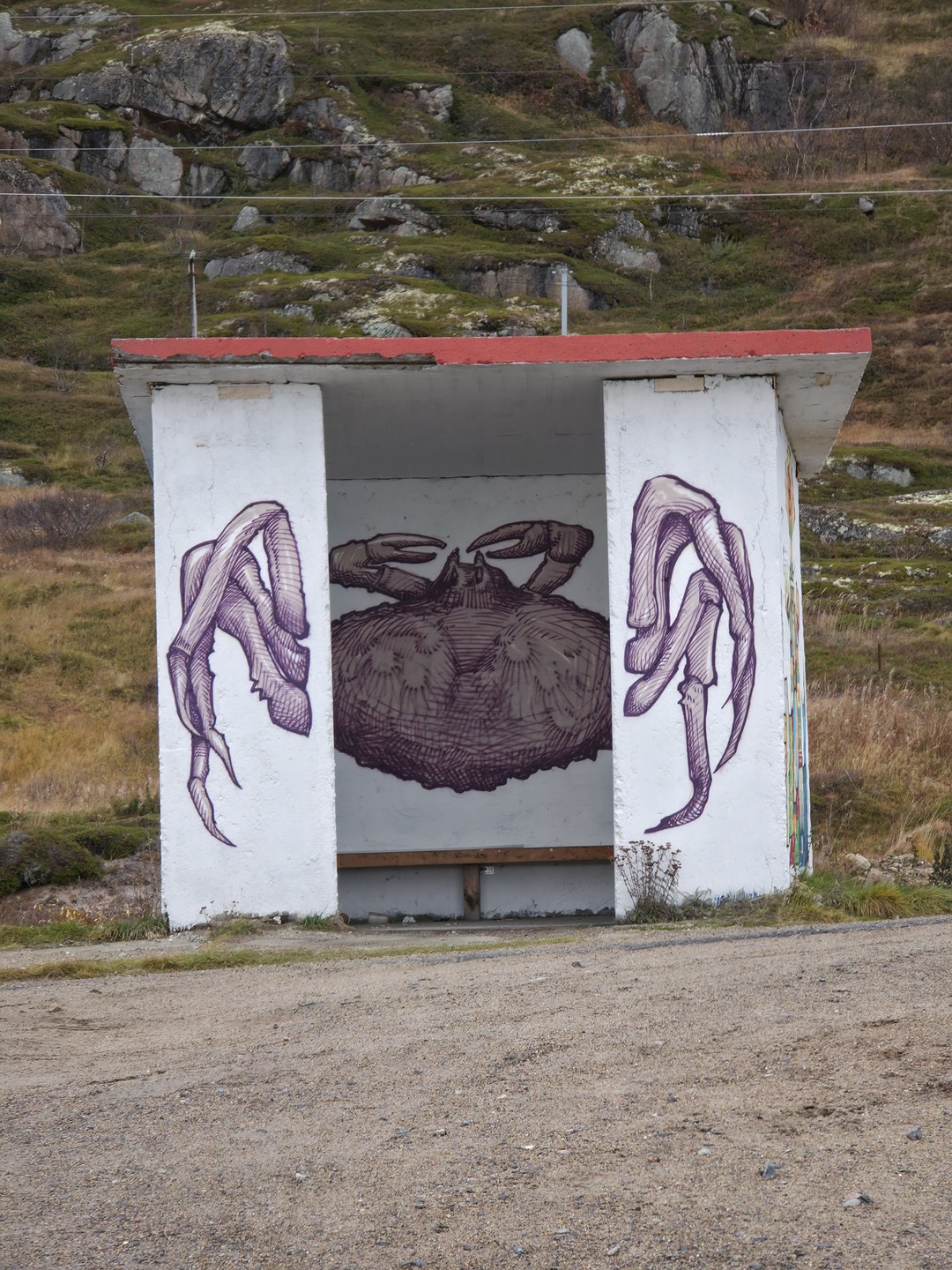 Природа Заполярья и встреча с китами - это Териберка (Сергей)