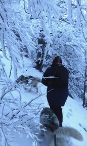 Фото отзыва 1: экскурсия ""