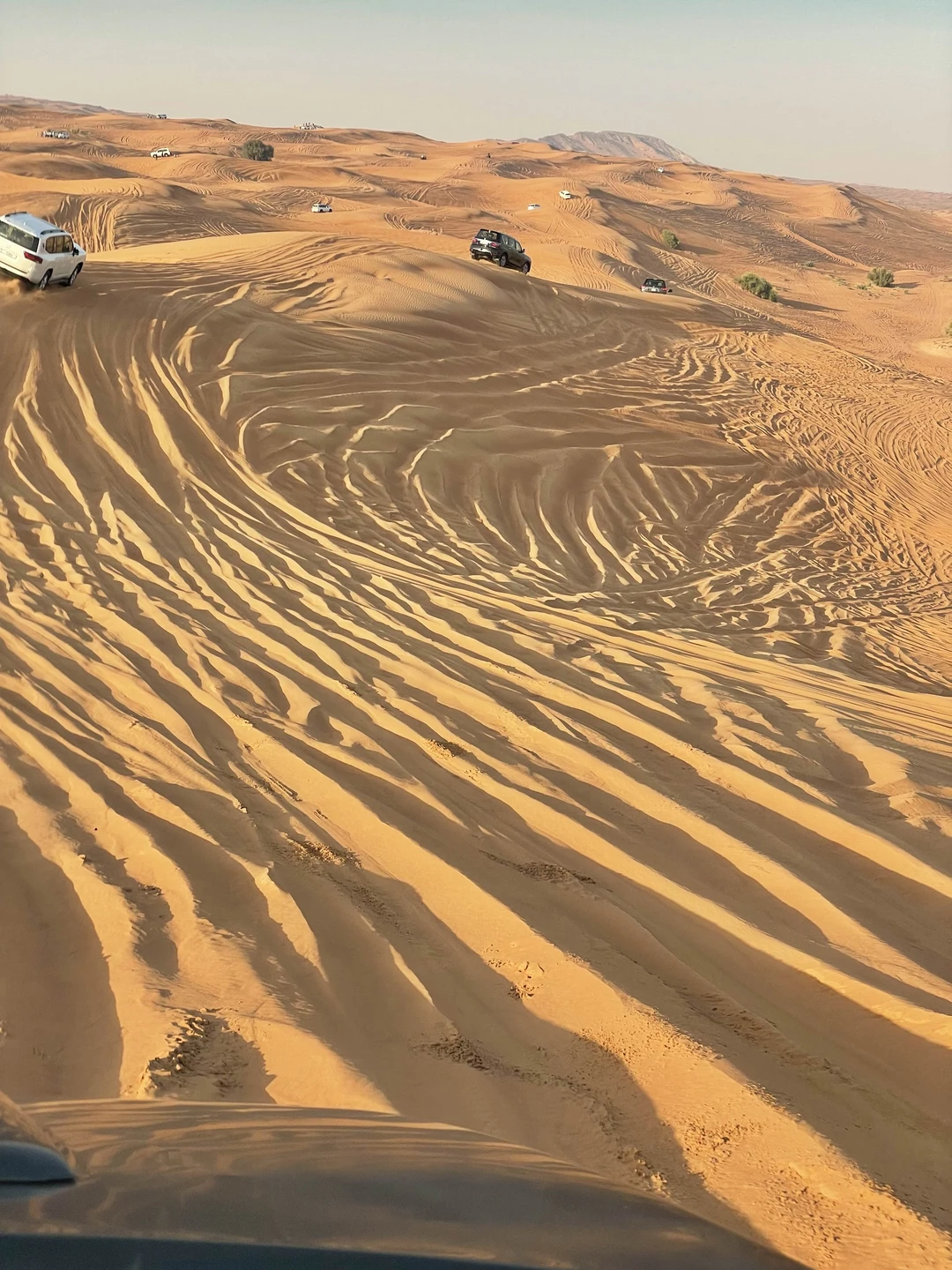 Водитель приехал вовремя, покатались по красивой пустыне на закате, затем, поехали в деревню, посмотрели шоу, бесплатно