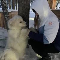 Фото отзыва 3: экскурсия "Саамские мотивы: поездка в этнодеревню в окрестностях Ловозера"
