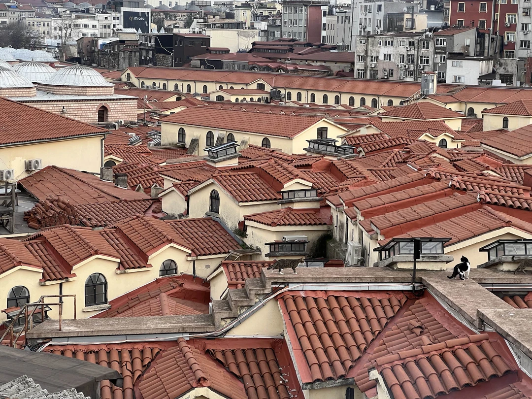 Милейшая прогулка по Базару, его закоулкам и окрестностям с остановками на кофе в местах которые точно не нашла бы самостоятельно. А виды на Босфор 😍