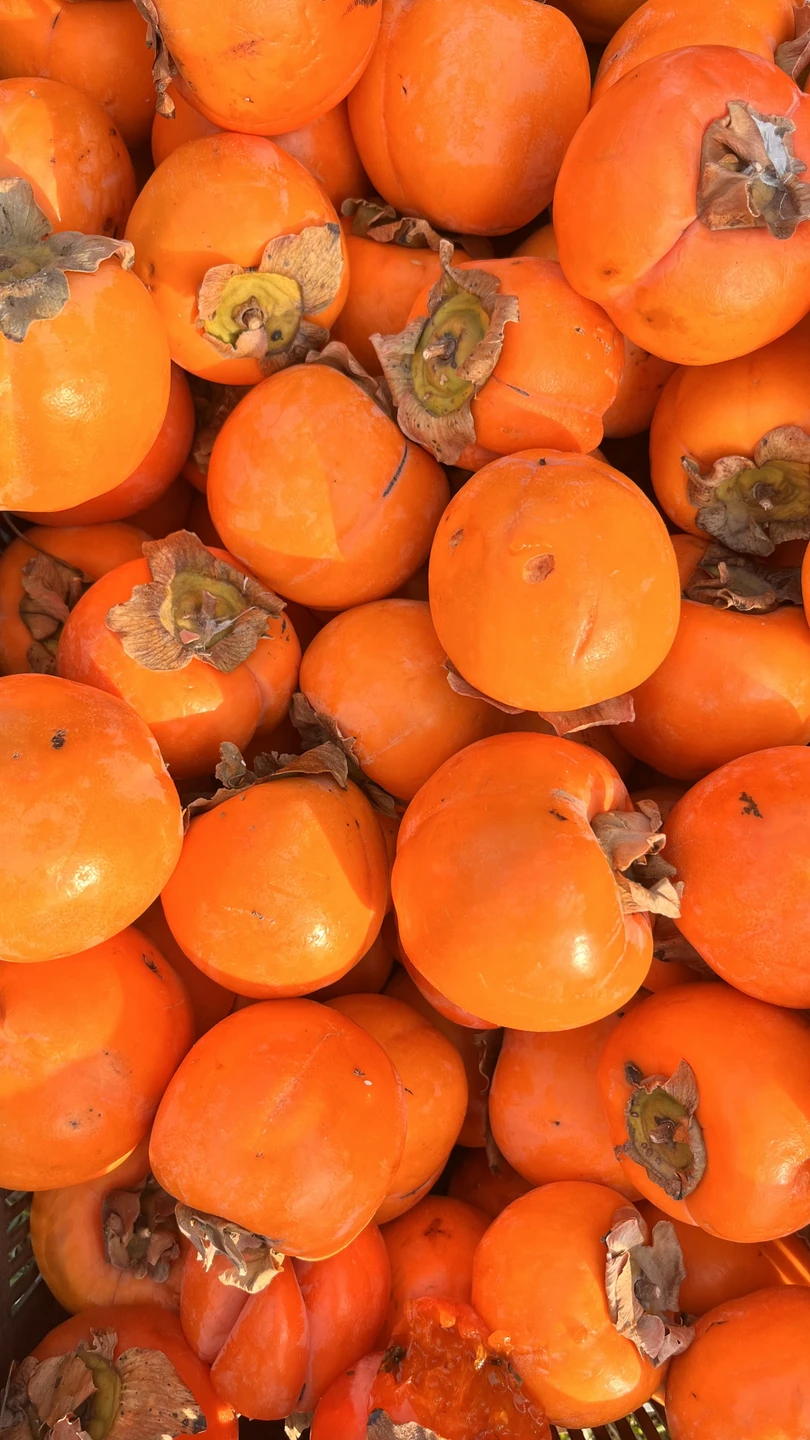 Огромное спасибо Михаилу за прекрасный день в Кахетии. Посетили винодельни, прикоснулись к истории и природе Грузии. Обязательно приедем еще!