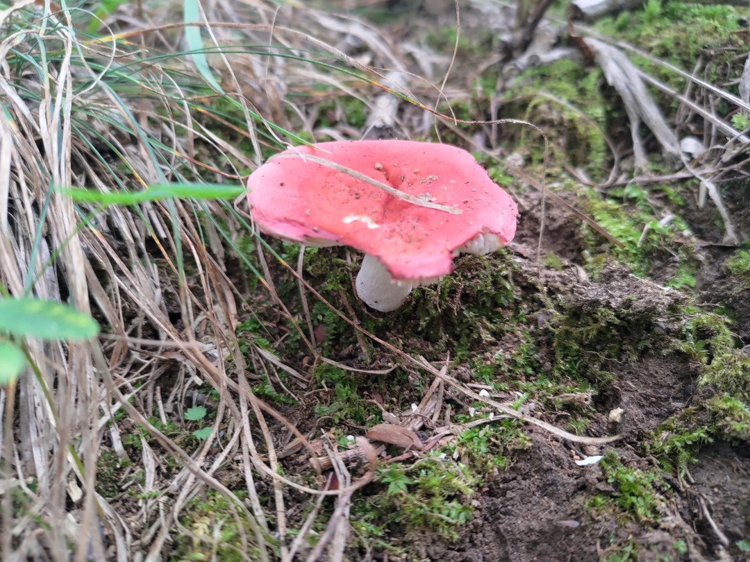 Прекраснейшая видовая прогулка. На катере по морю. Два великолепных девственно чистых острова. Я правда не дошла