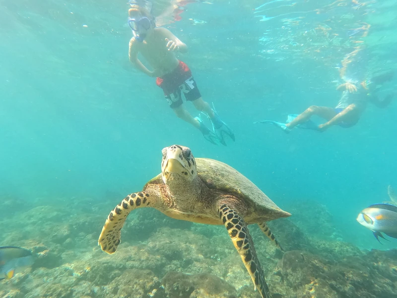 Морская прогулка из Маската к заповедным островам Дайманиат