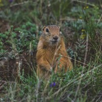Отзыв о экскурсии "По смотровым площадкам Приольхонья — с трэвел-фотографом" — фото 1