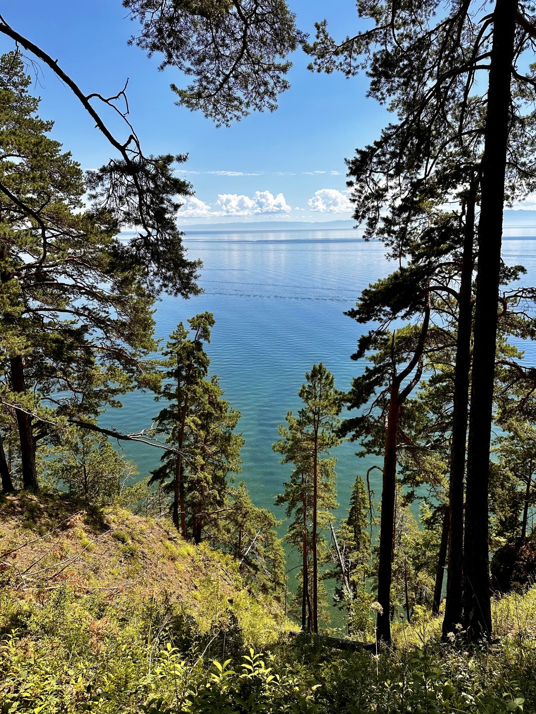 Экскурсию нам проводил Евгений - потрясающий гид. Евгений в полной мере раскрывал интересующие темы. Отлично подготовлен