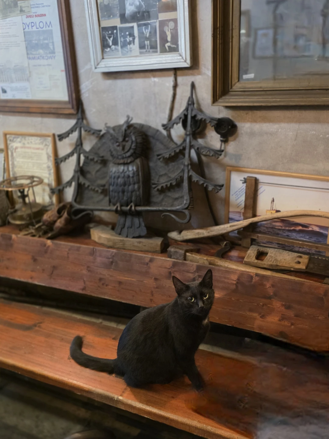 Наша взрослая семейная группа из четырех человек давно мечтала отметить новогодние праздники вместе, поэтому возникла идея